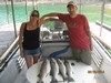 (08/26/2014) - Nice Striped Bass